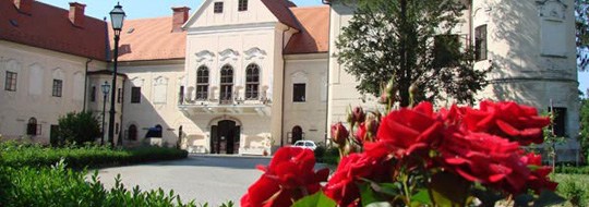 Dvorac Lužnica